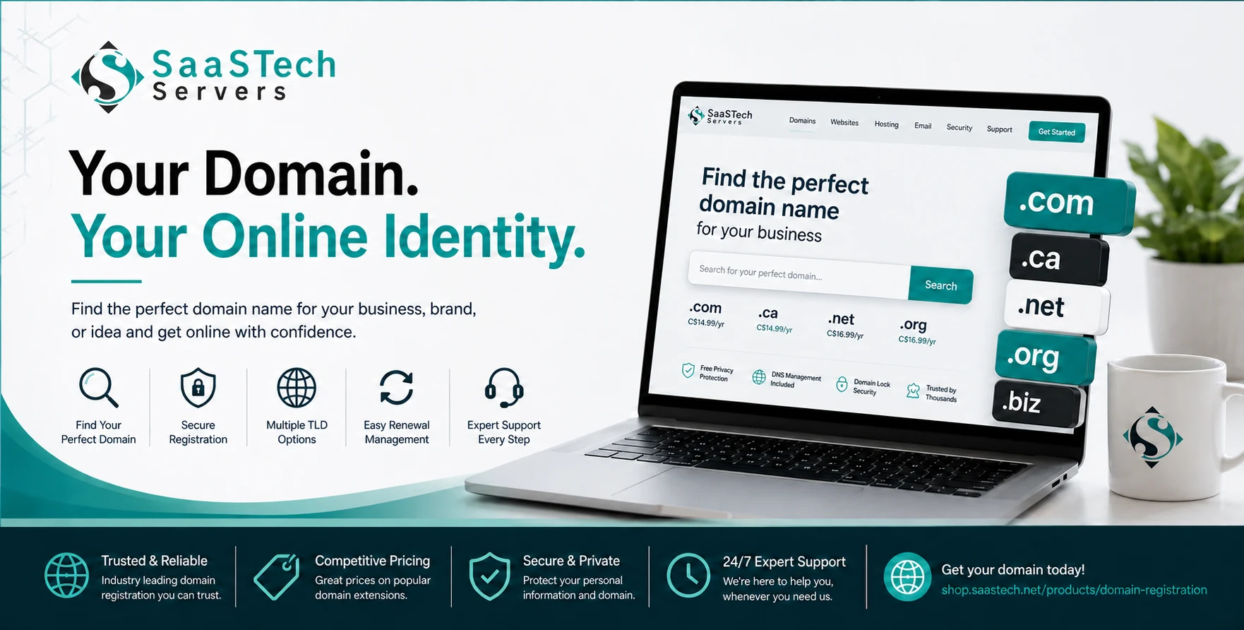 Explore Domain Registration